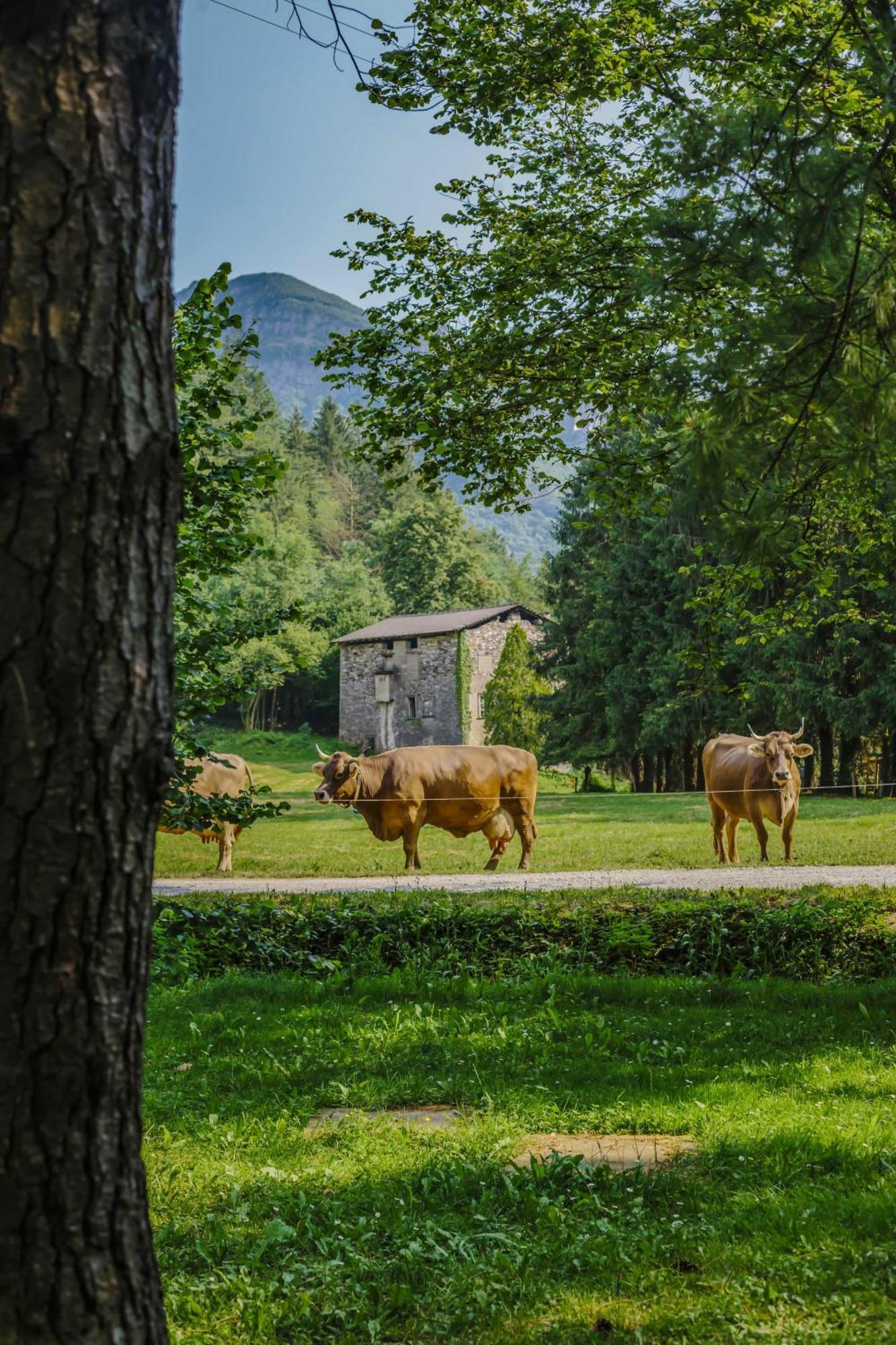 Villa Agriturismo Ferdy à Lenna Extérieur photo